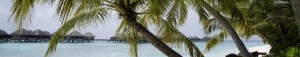 cropped-cropped-DSC23181.jpg